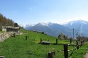 IMG_0249