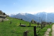 IMG_0250
