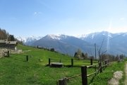 IMG_0251