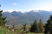 IMG_0258