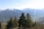 IMG_0260