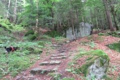 IMG_0001