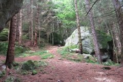 IMG_0006