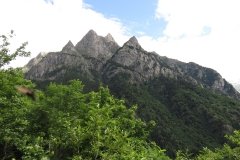 IMG_0013
