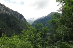 IMG_0015