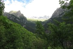 IMG_0017