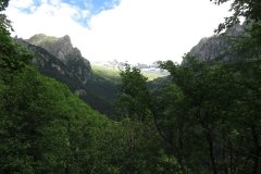 IMG_0019