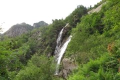 IMG_0040
