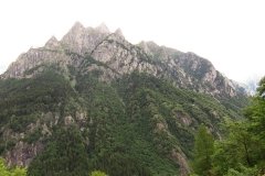 IMG_0049