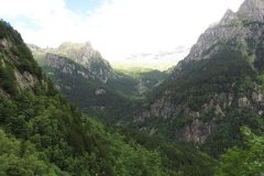 IMG_0066