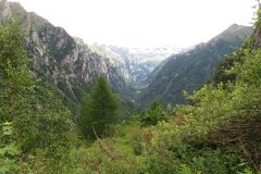IMG_0074