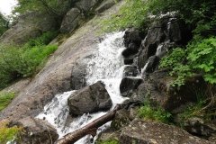 IMG_0075