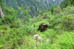 IMG_0081