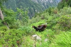 IMG_0083