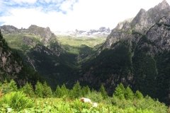IMG_0085