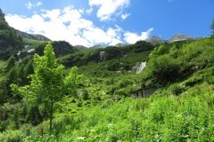 IMG_0087