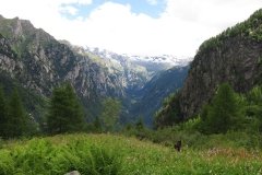 IMG_0093