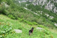 IMG_0099