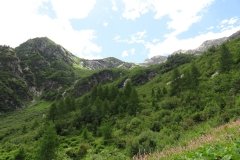 IMG_0101