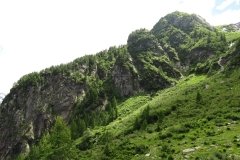 IMG_0106
