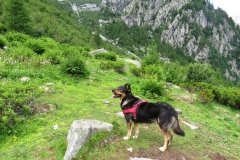 IMG_0109