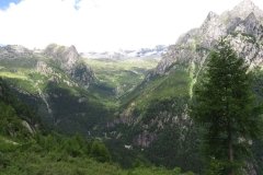 IMG_0124