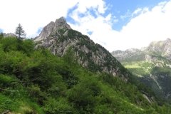 IMG_0126