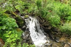 IMG_0128
