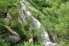 IMG_0134
