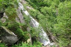 IMG_0135