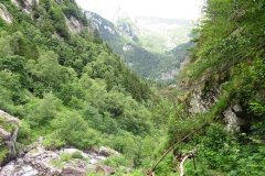 IMG_0139