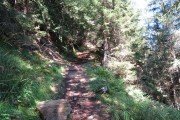 IMG_0002