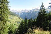 IMG_0008