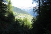 IMG_0012
