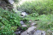 IMG_0015