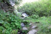 IMG_0018