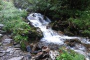 IMG_0020