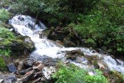 IMG_0022