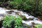 IMG_0024