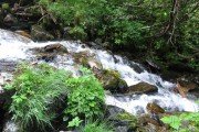 IMG_0027