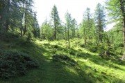 IMG_0029