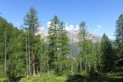 IMG_0031