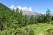 IMG_0034