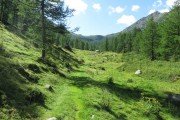 IMG_0037
