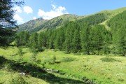 IMG_0039