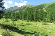 IMG_0041