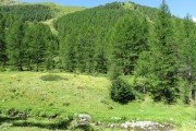 IMG_0044