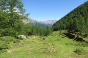 IMG_0046