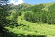 IMG_0052