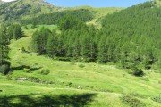 IMG_0056